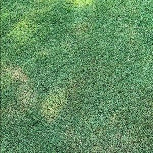 Meet your Posher, Arthur